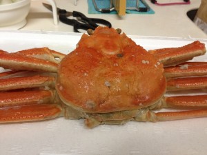 IMG_0470_small