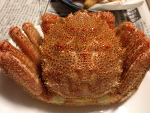 IMG_0491_small