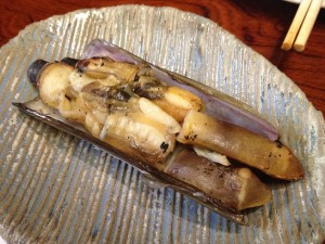 IMG_0540_small