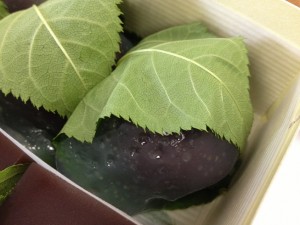 IMG_1659_small