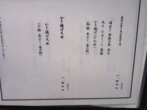 IMG_1667_small