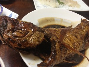 IMG_1719_small