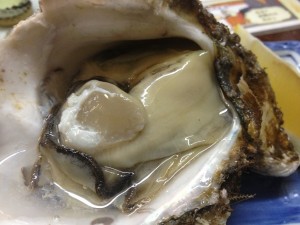 IMG_1720_small