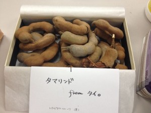 2014-03-05 22.23.31