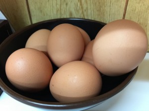 2015-01-24 14.46.46