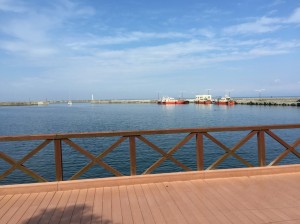 2015-05-29 14.43.47